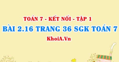 Bài 2.16 trang 36 SGK Toán 7 tập 1 Kết nối tri thức